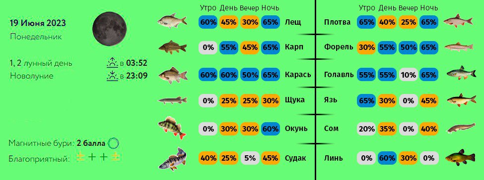 Прогноз клева в калининградской области. Рыбы и рыбалка. Клёва в июнь. Рыбалка в июне. Что клюет в июне.