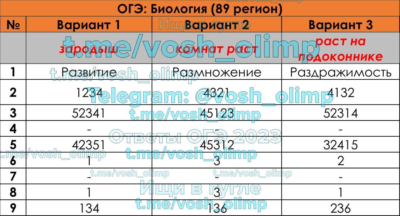 Можно Ли Купить Ответы На Огэ 2025