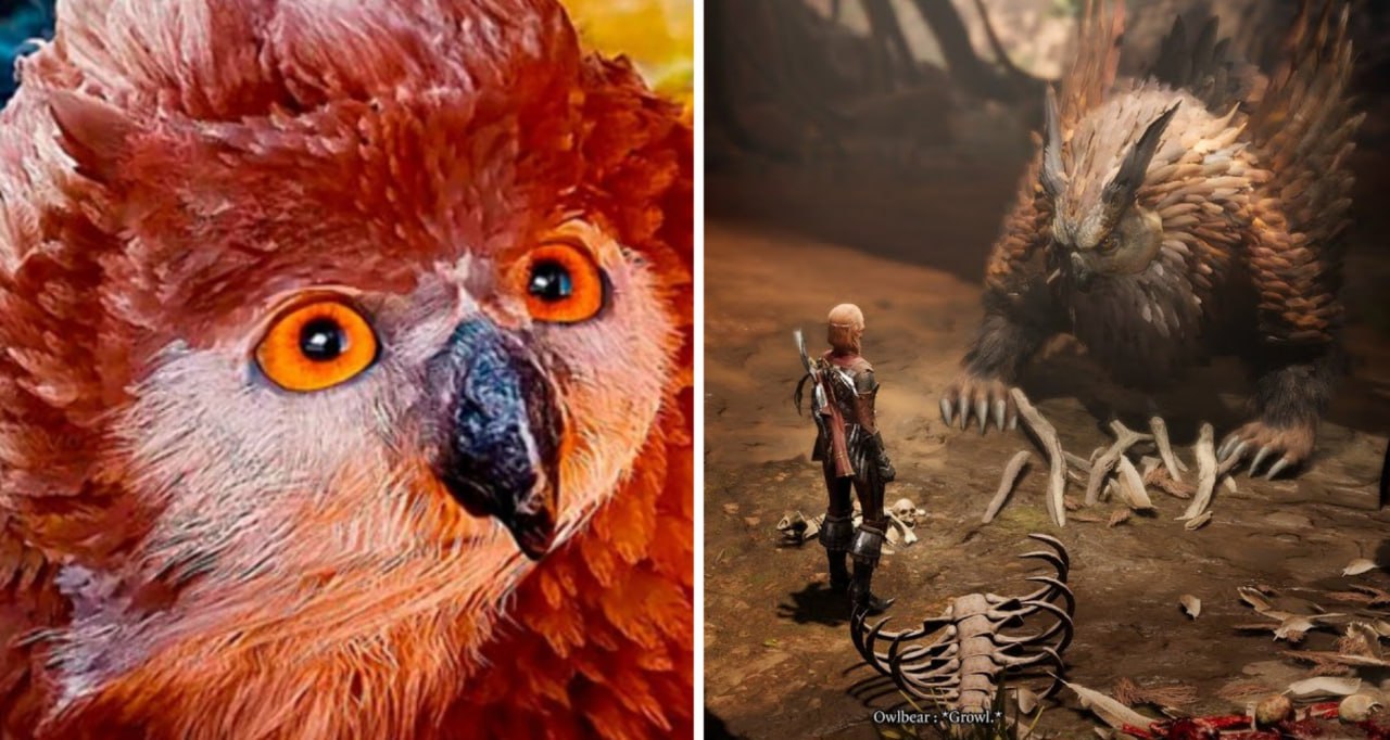 Как спасти детеныша медвесыча. Совиный медведь. Как спасти детеныша медвесыча. Baldur's gate 3 медвесыч. Baldur's gate 3 owlbear.