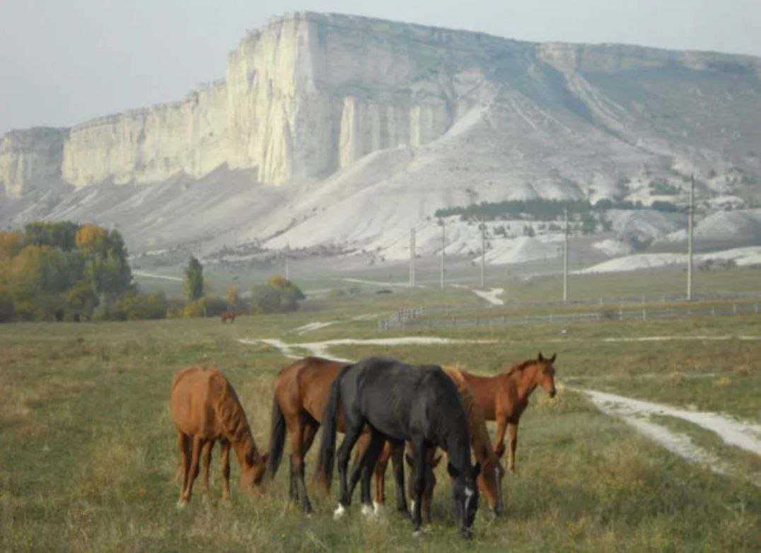 Конные прогулки Белогорск