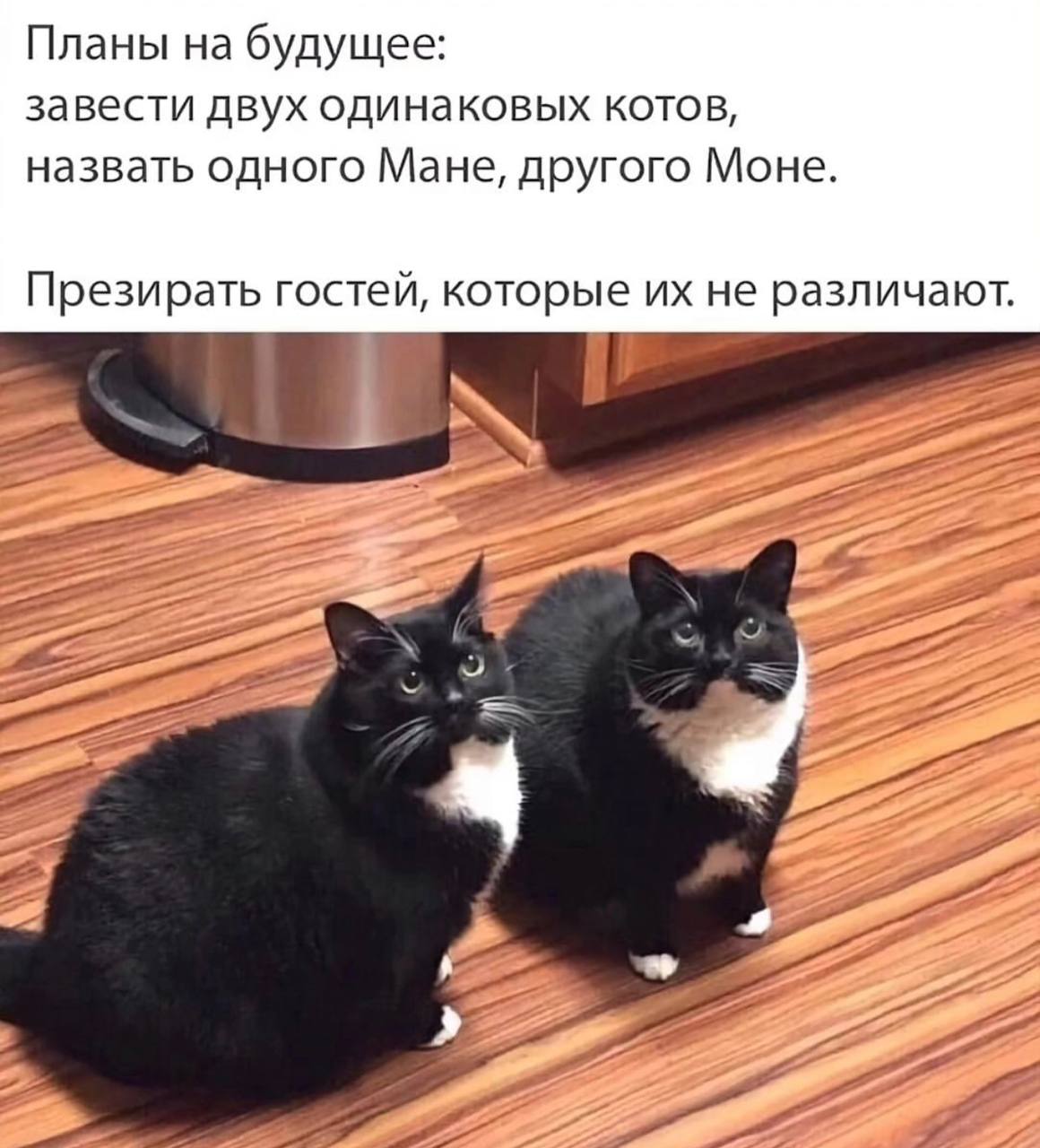Заведи несколько