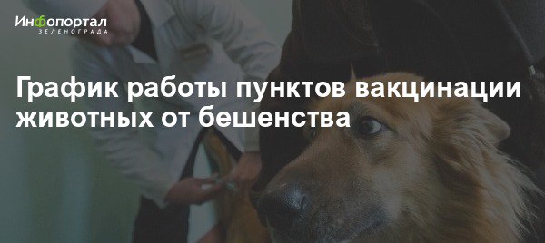 Прививка от бешенства зеленоград