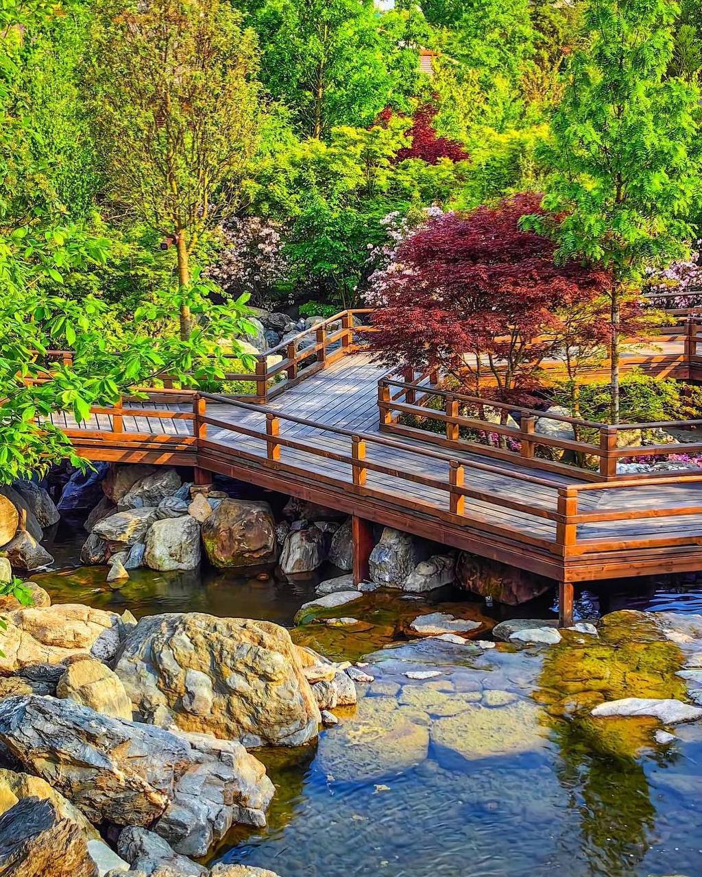 японский сад в парке галицкого в краснодаре