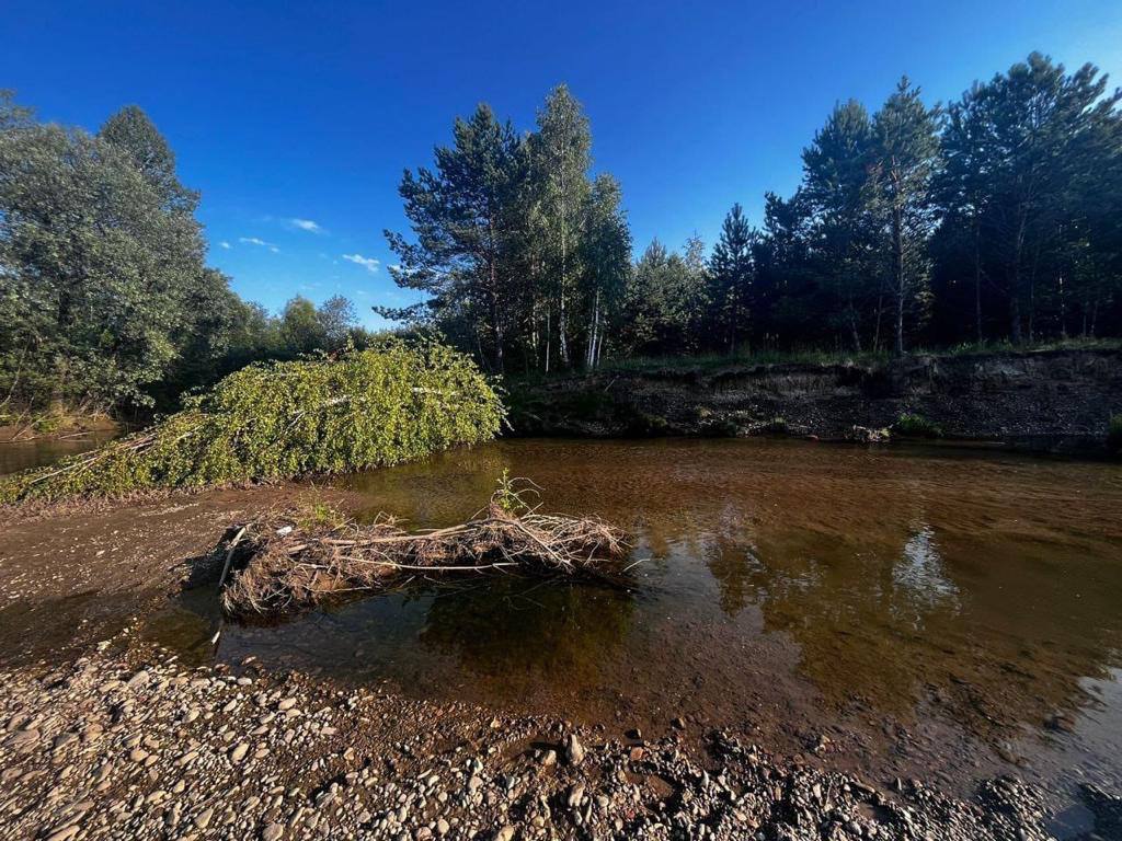 Река Амыл Каратузский район художественное фото