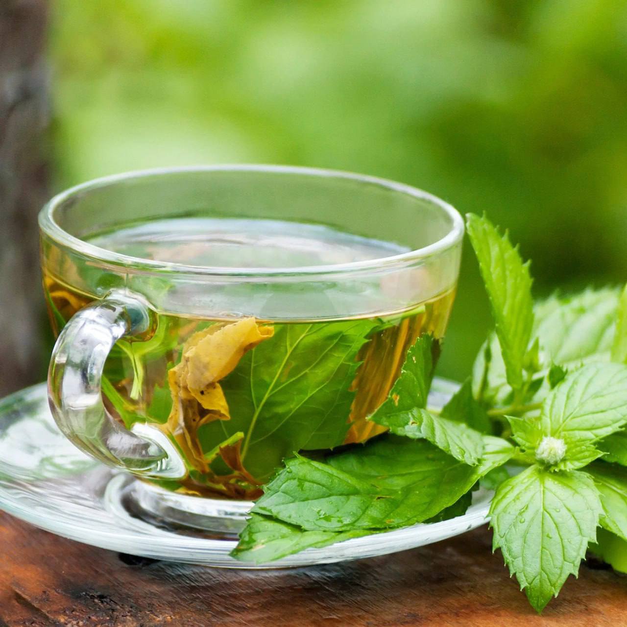 Зеленый чай для печени. Чай с мятой. Отвар трав. Травяной отвар. Чай фото.