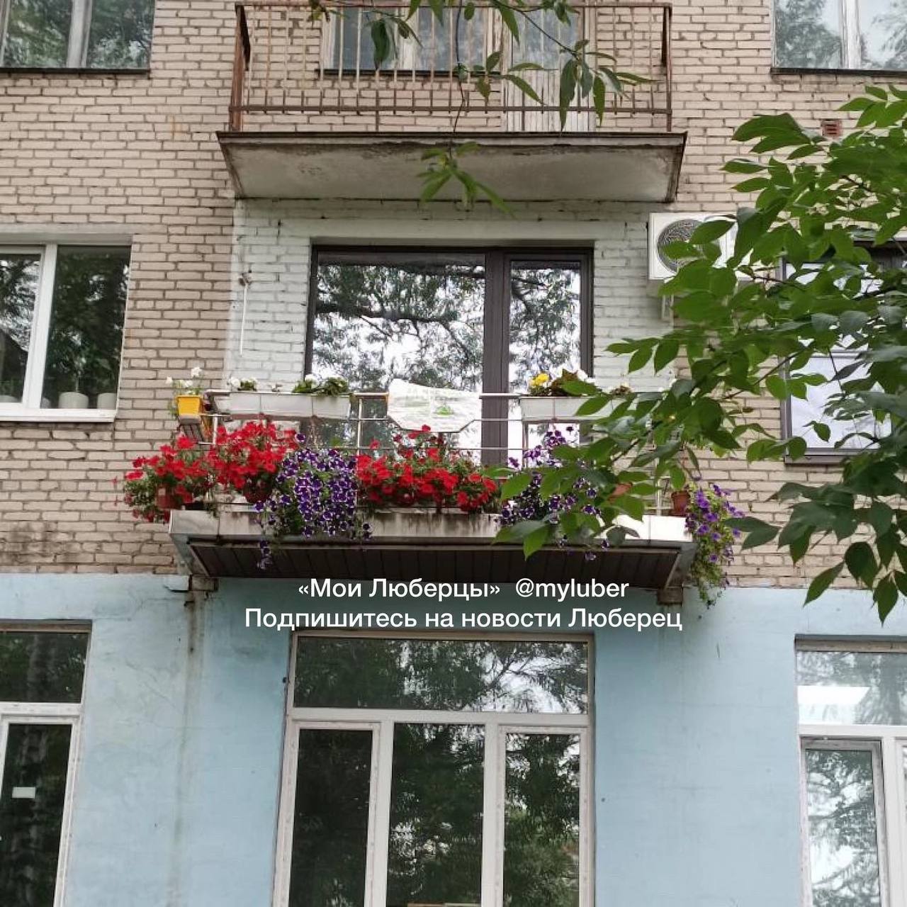 Типичные люберцы лайф