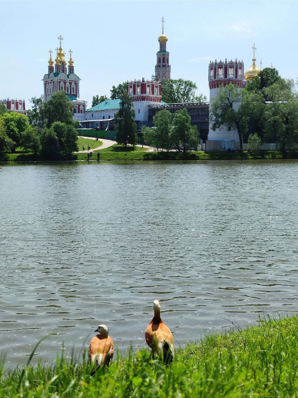 москва не известное