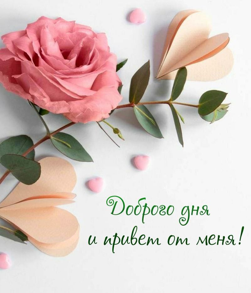 Добрый день любимая открытки
