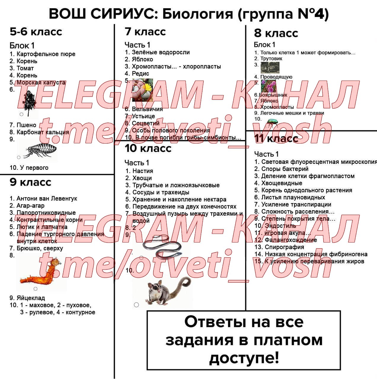 Телеграмм каналы с школьников сливом фото 77