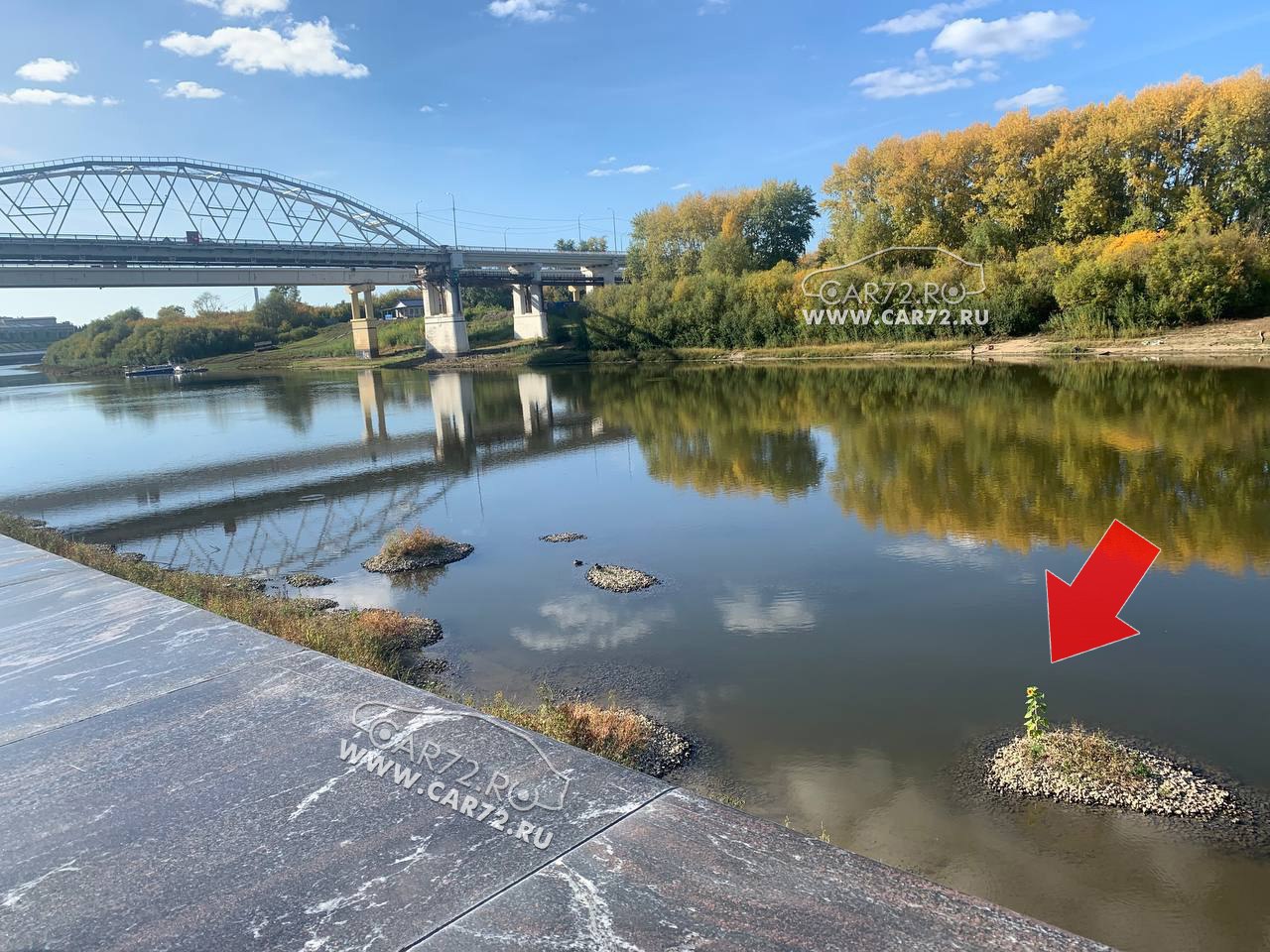 Местный канал тюмени. Местный канал тюмени. Местный канал тюмени. Ведущие тюменского телевидения. Транспортное телевидение.