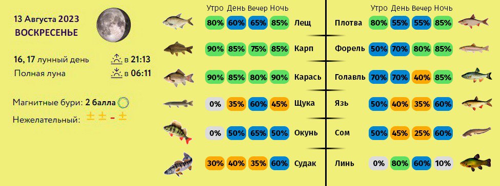 Прогноз на клев рыбы на каме. Прогноз клева.