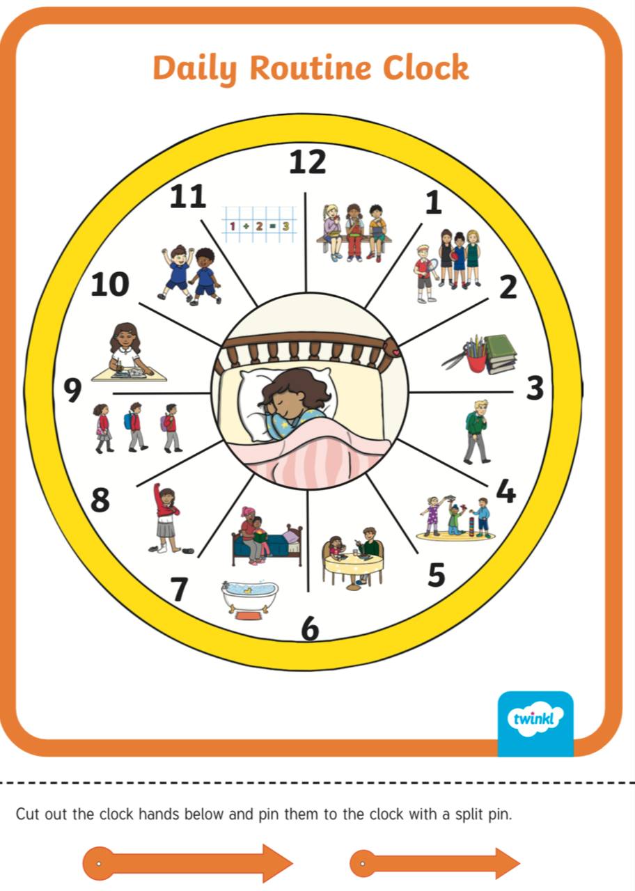 Regular routine. Daily routine verbs.