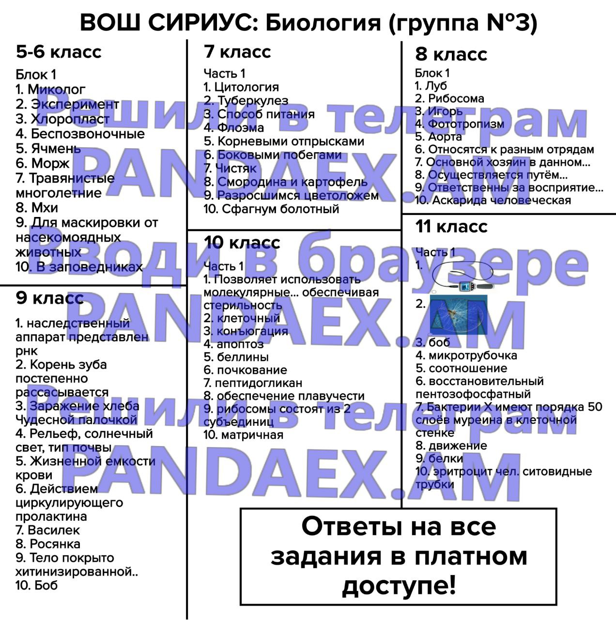 Публикация #5344 — ОТВЕТЫ 2024 - PANDAEX.AM (FmghN4DsD_RhNjQy)