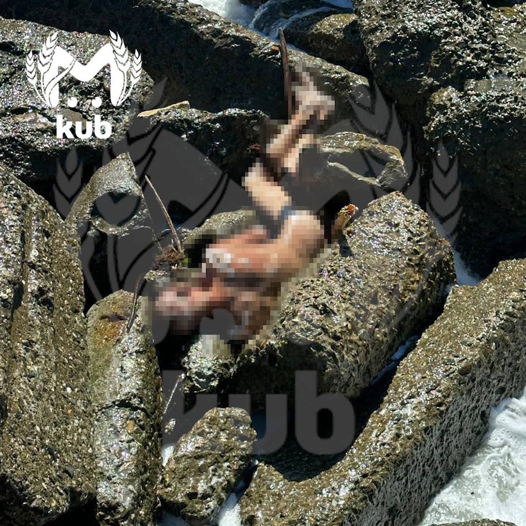 Море жесть пикабу