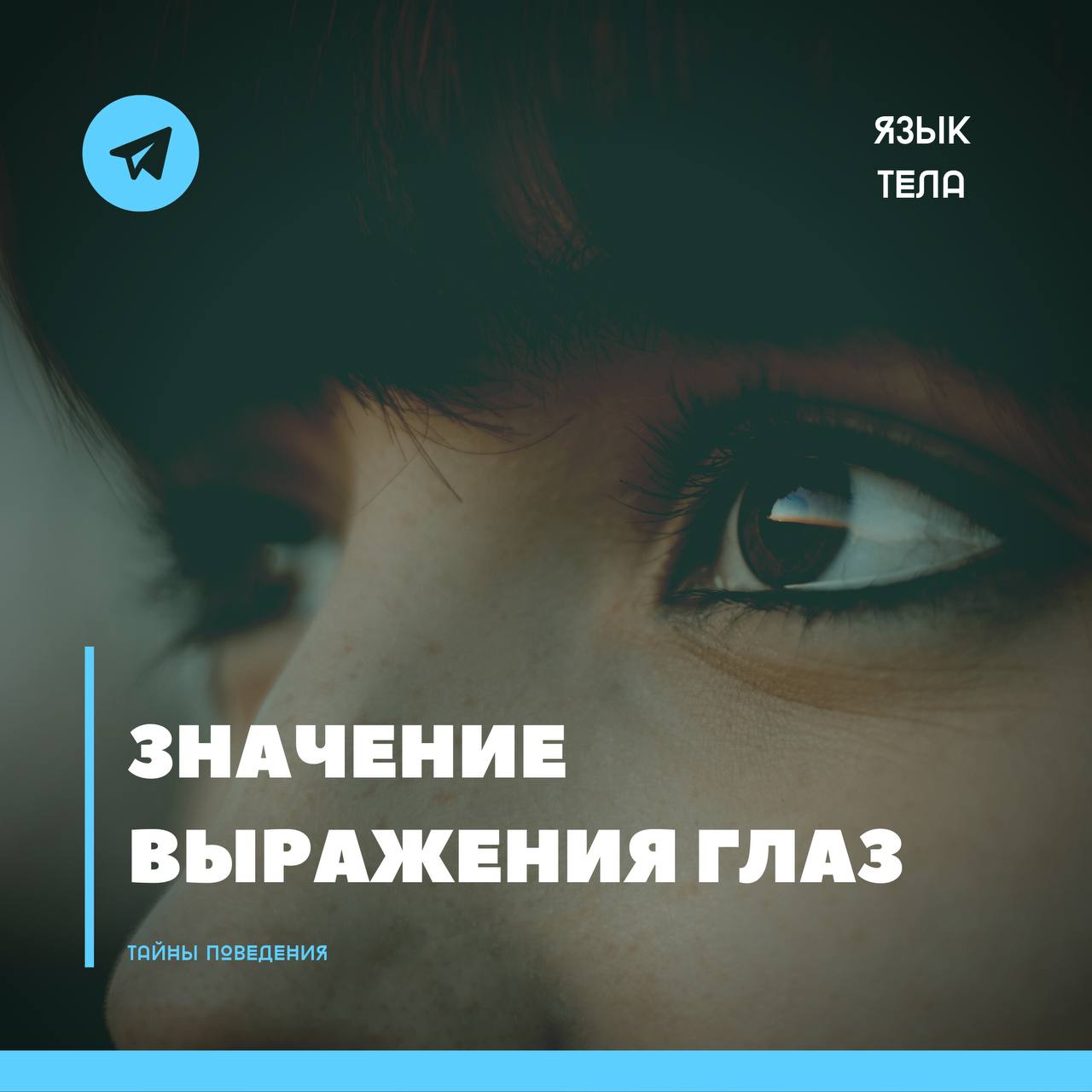 Глаза ее блестели как в лихорадке. Глаза ее блестели как в лихорадке