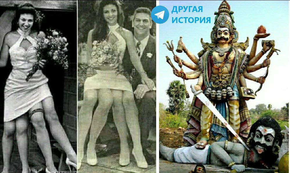 Чьи гены. Чьи гены