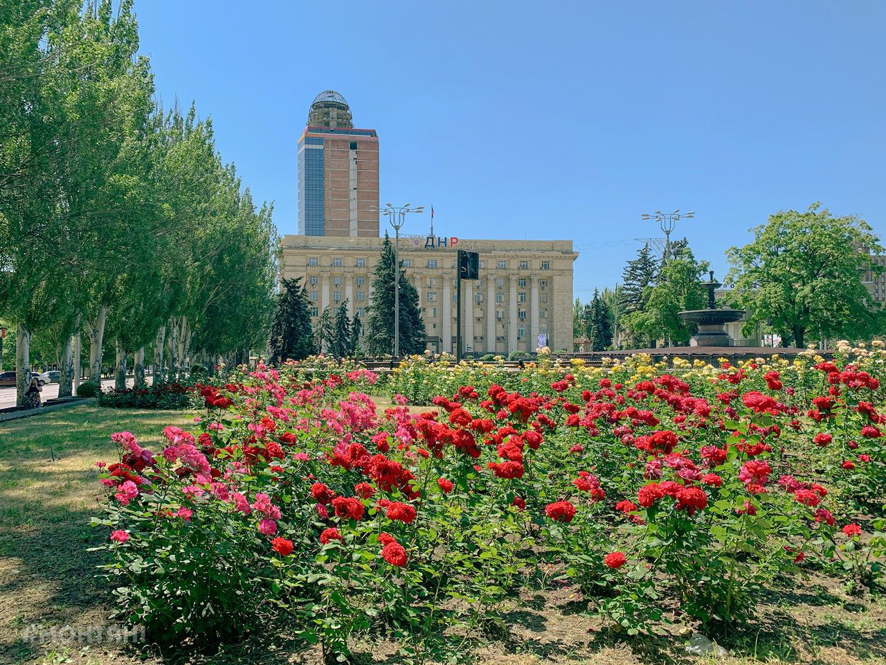 Донецк город роз