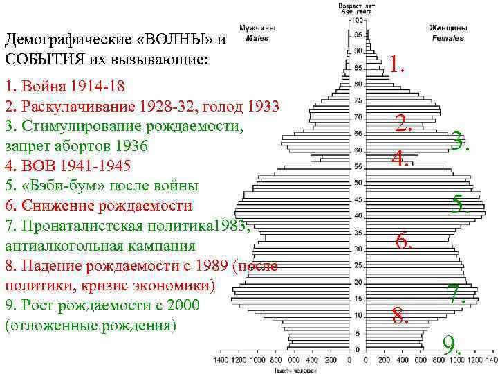 Демография какая