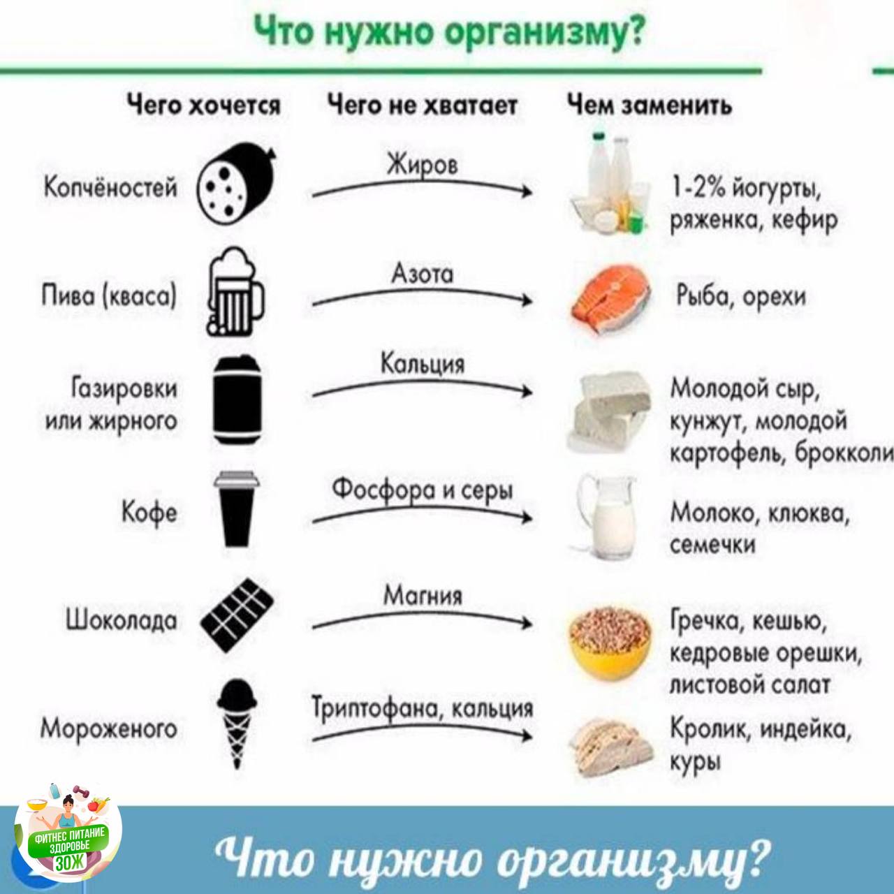 Что нужно организму человека