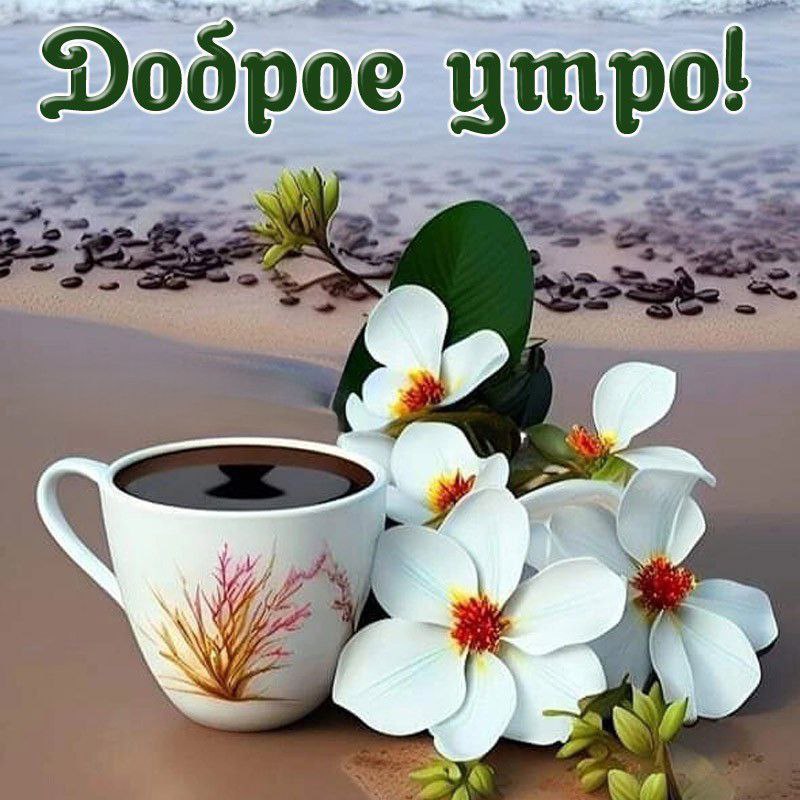 Картинки С Добрым Утром Новинки