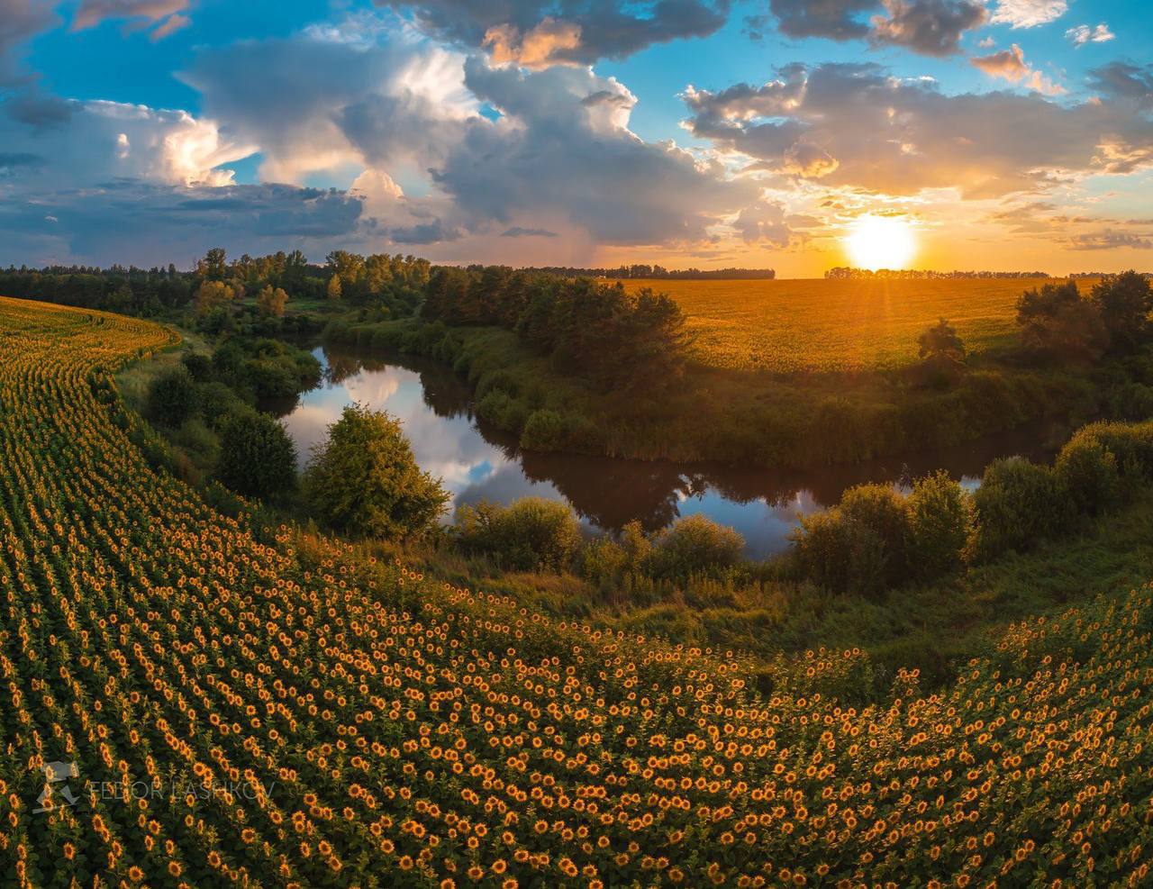 Красота полей