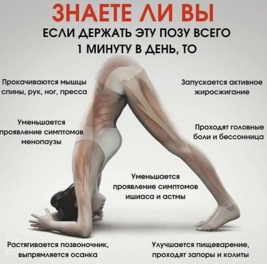 Можно Ли Похудеть Занимаясь Сексом Можно Ли Похудеть Занимаясь Сексом