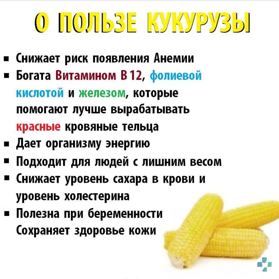 Кукуруза польза