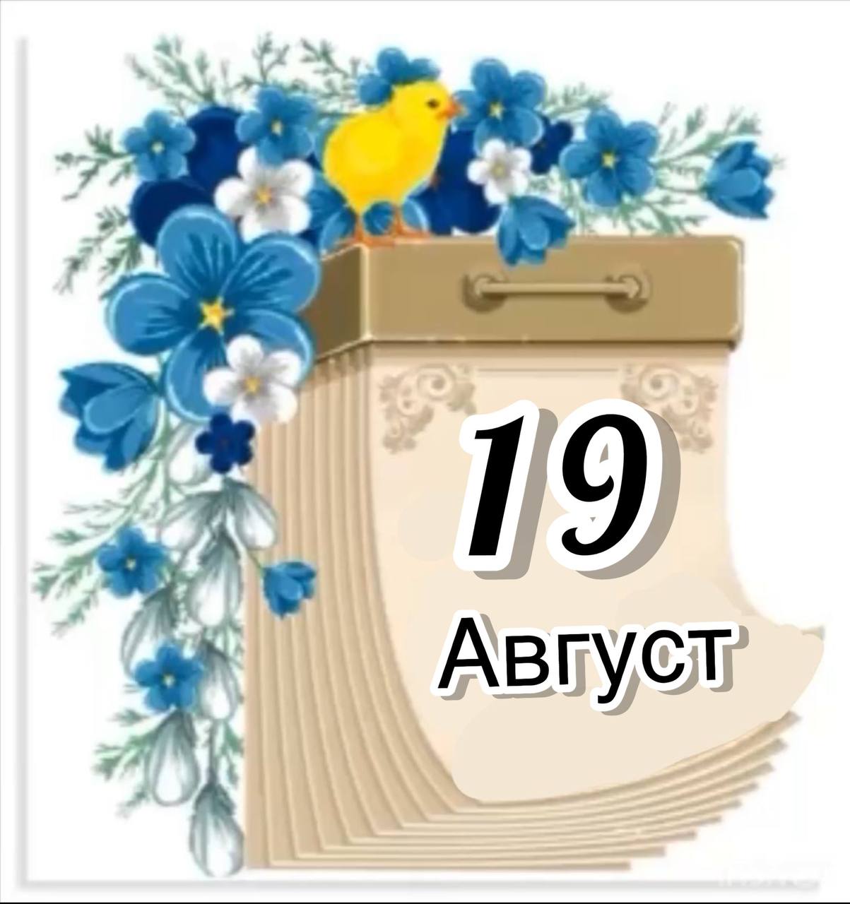 0 5 календарного дня. Лист календаря. Лист отрывного календаря. Лист календаря июнь. Лист календаря 3 июня.