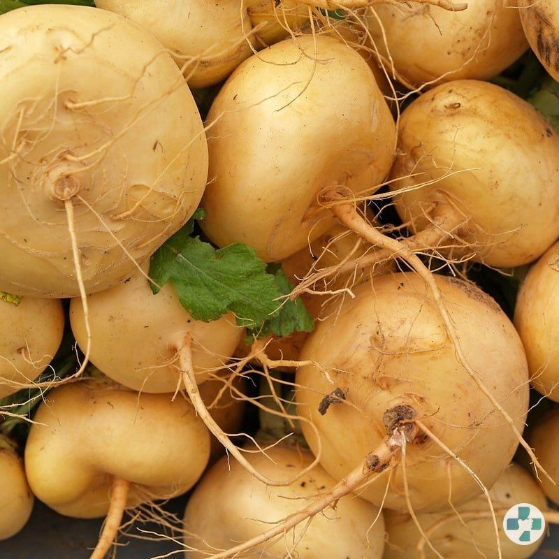 Репа желтая турнепс. Какого цвета репа. Какого цвета репа. Репа сорт миланская. Репа белая.