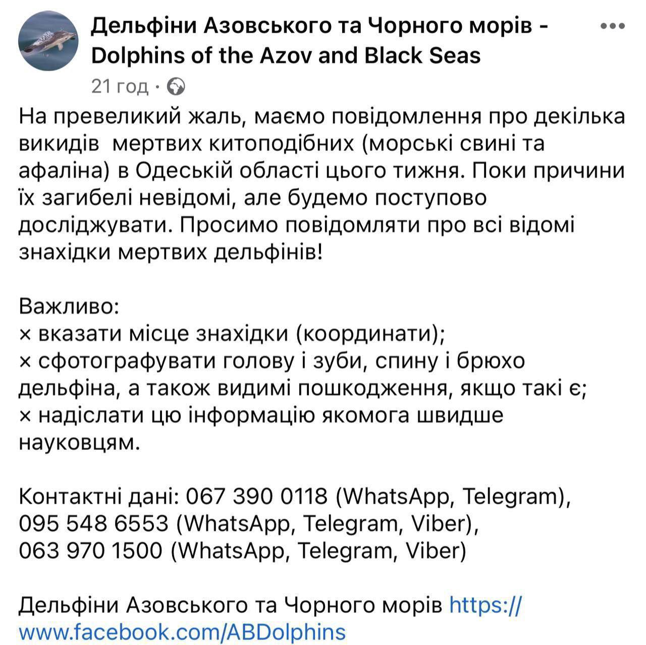 Русская одесса телеграмм фото 100