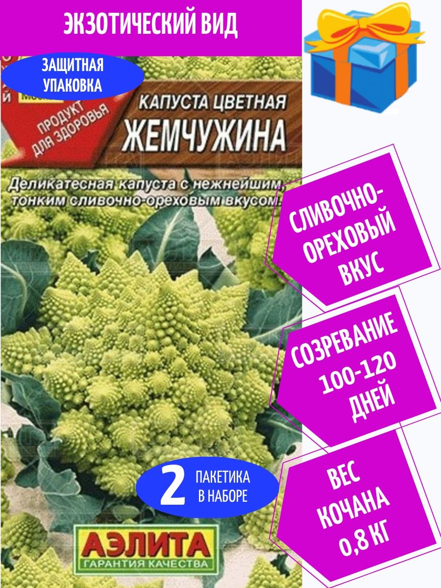 Скидколов. Сезон у дачи журнал. 1000 Советов для дачников 2023. Журнал 1000 советов дачнику. Журналы про огород и дачу.