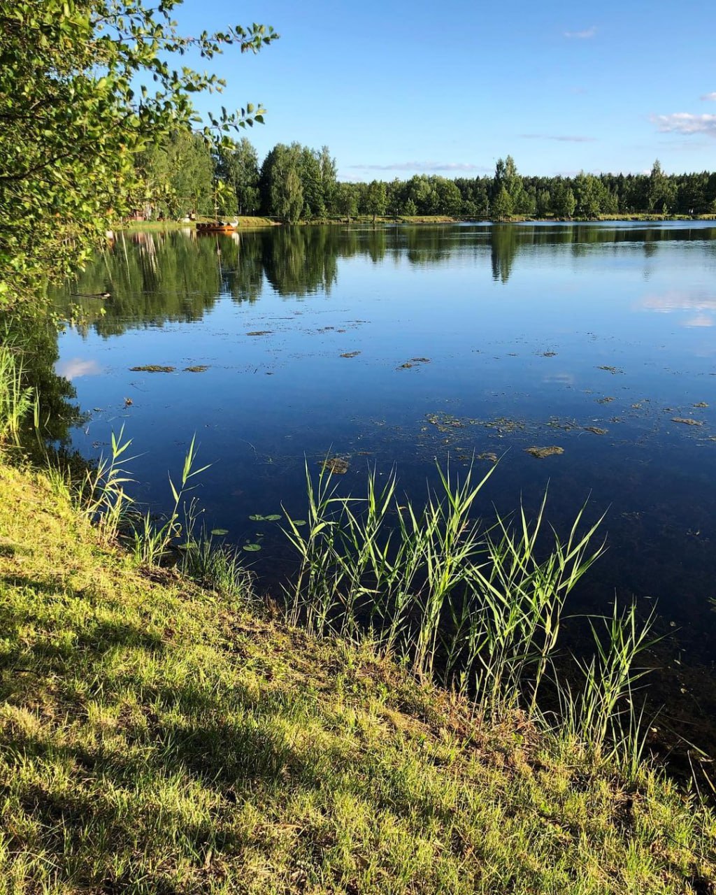 красивые места в ногинске для