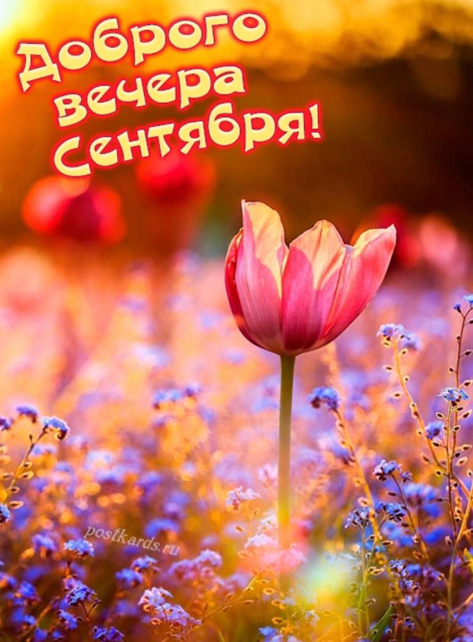 Добрый день хорошего вечера картинки