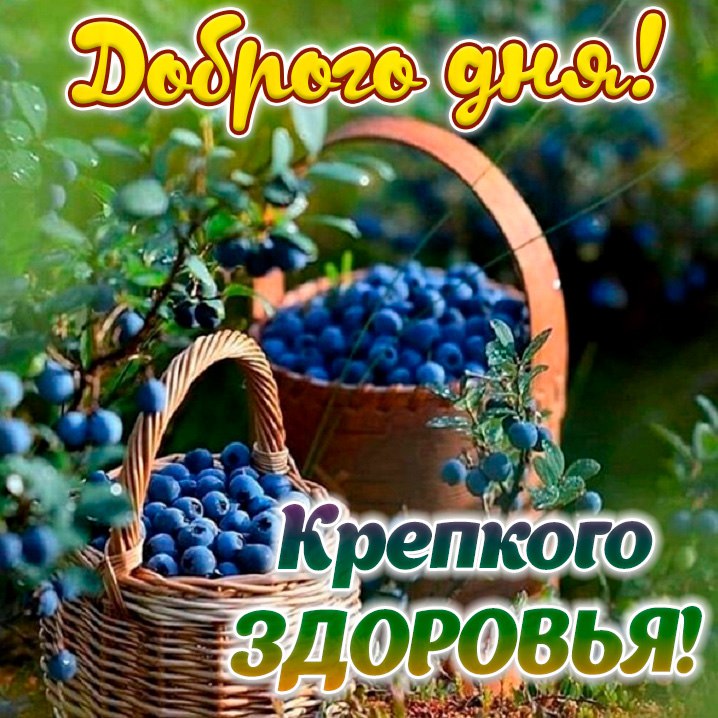 Хорошего августовского дня и отличного настроения. Открытки с добрым утром. Доброе августовское утро. Доброго августовского дня.