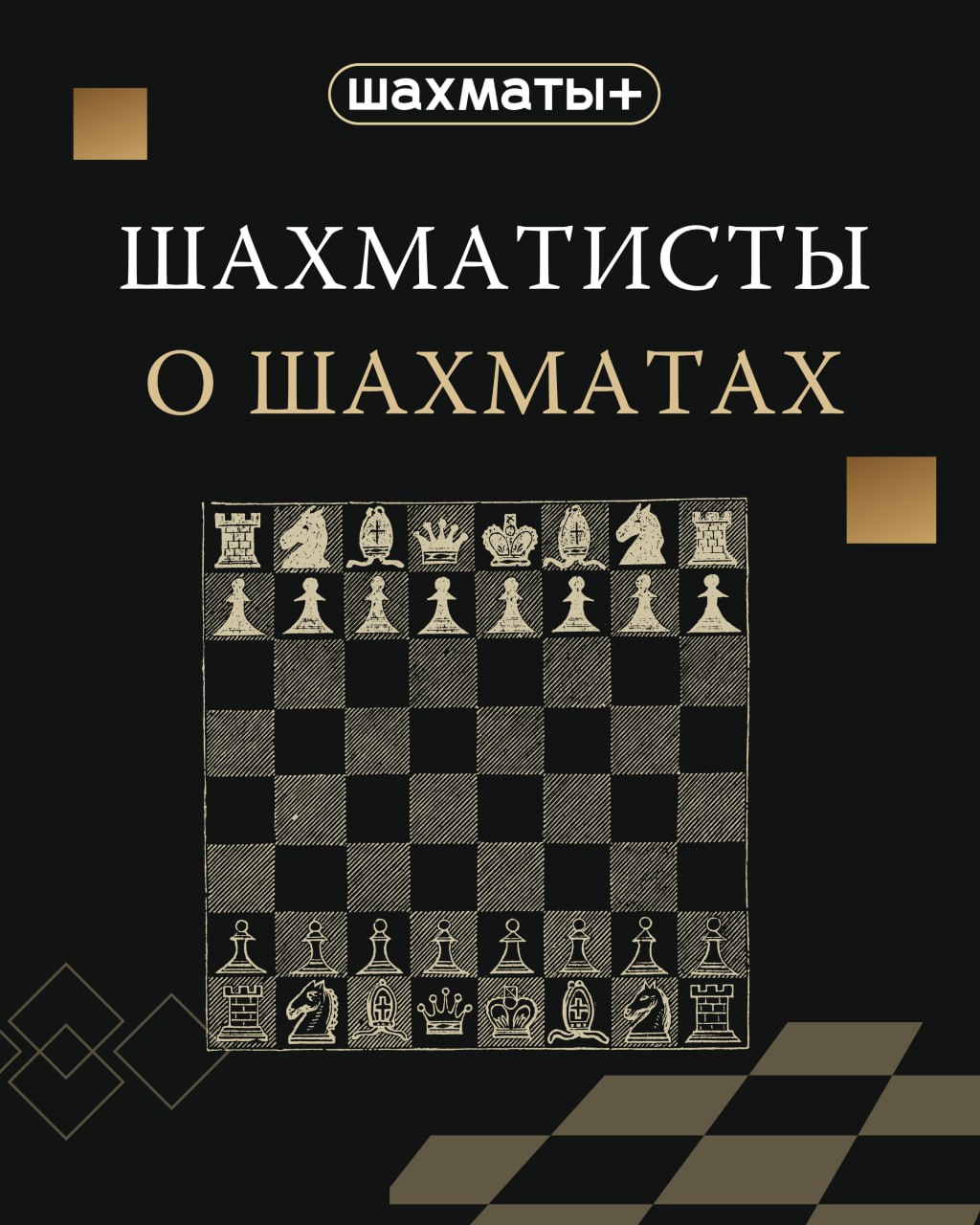 Шахматы бот. Шахматный бот. боты в шахматах. ии против бота в шахматах. chess bot positive.