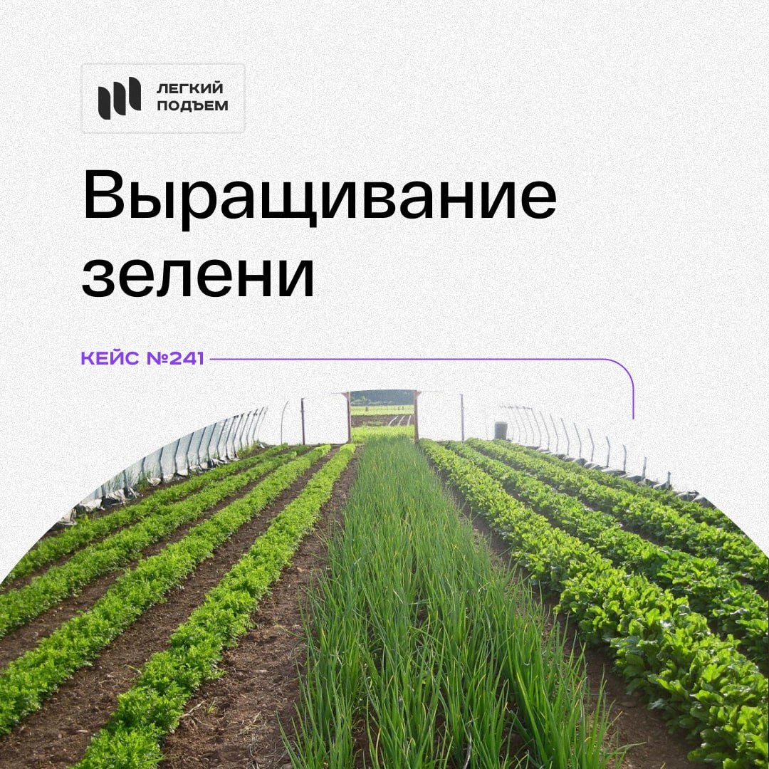 Выращивать зелень на продажу бизнес план