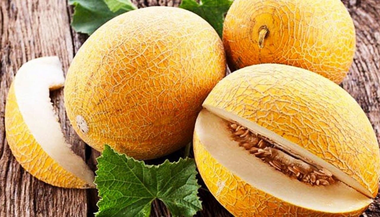 Дыня ананас f1. Qhd 1200 дыня торпеда зеленая. Семена дыня эфиопка. Гавриш дыня-торпеда. Дыня это что.