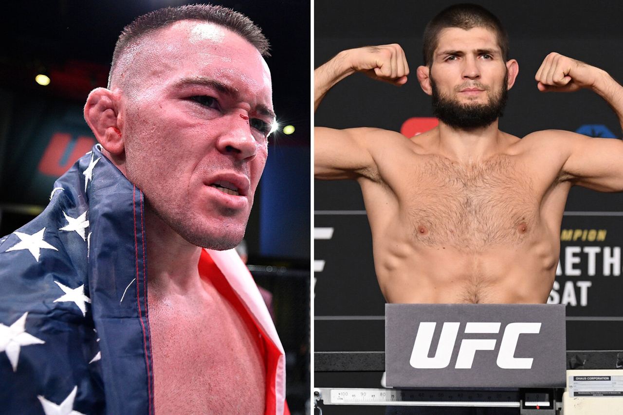 Спортс ру бокс мма