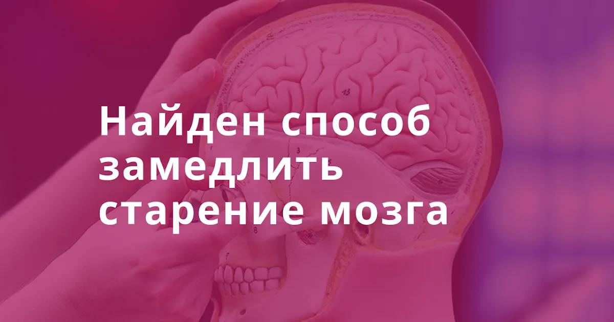 Старение мозга картинка. Замедление старения мозга. Упражнения для замедления старения. Упражнения для замедления старения головного мозга. Упражнения для мозга старение мозга-.